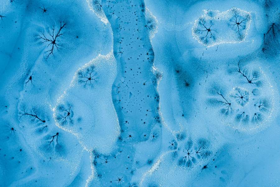 Победители International Photography Awards 2023