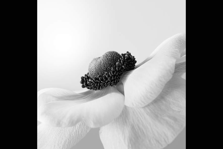 Победители International Photography Awards 2023