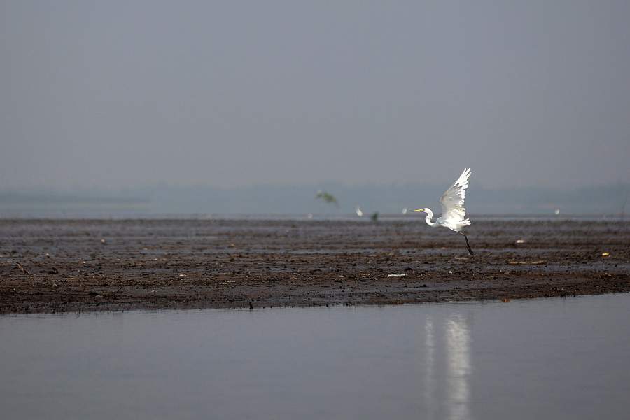 Засуха в Бразилии