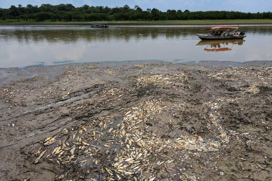 Засуха в Бразилии