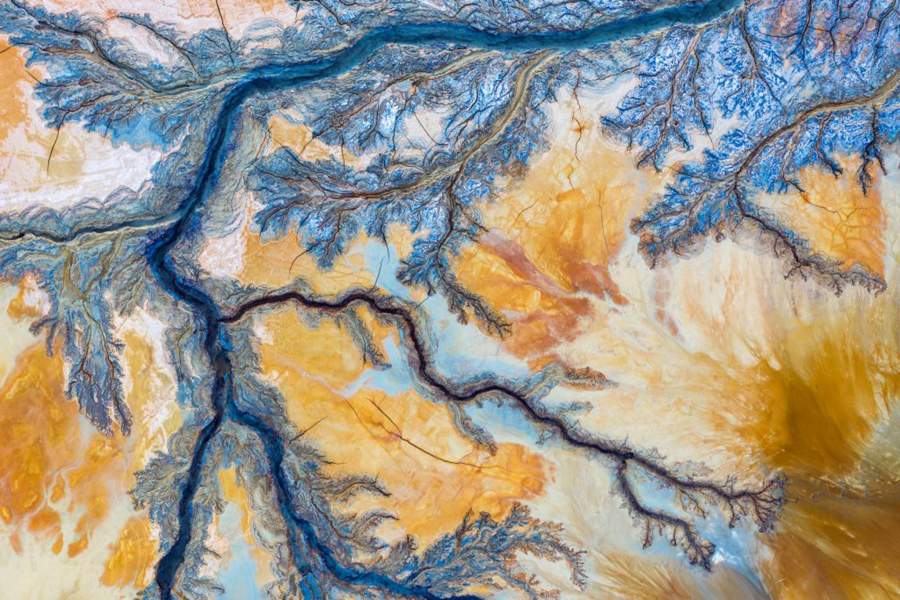 Победители Nature TTL Photographer of the Year 2023