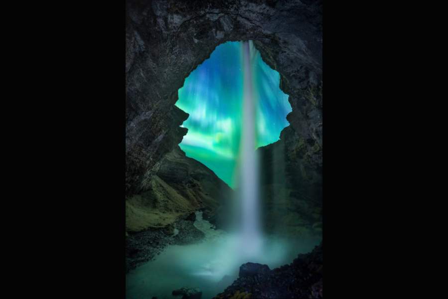 Победители Nature TTL Photographer of the Year 2023