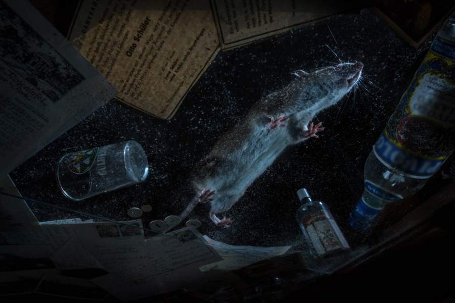 Победители Nature TTL Photographer of the Year 2023