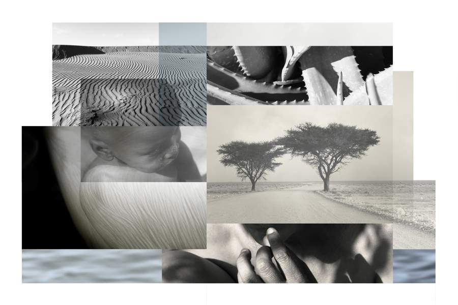 Победители AAP Magazine 34 Shapes