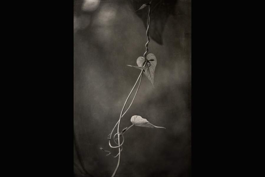 Победители AAP Magazine 34 Shapes