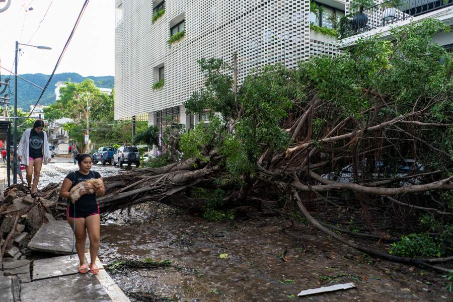 Фото прошедшей недели