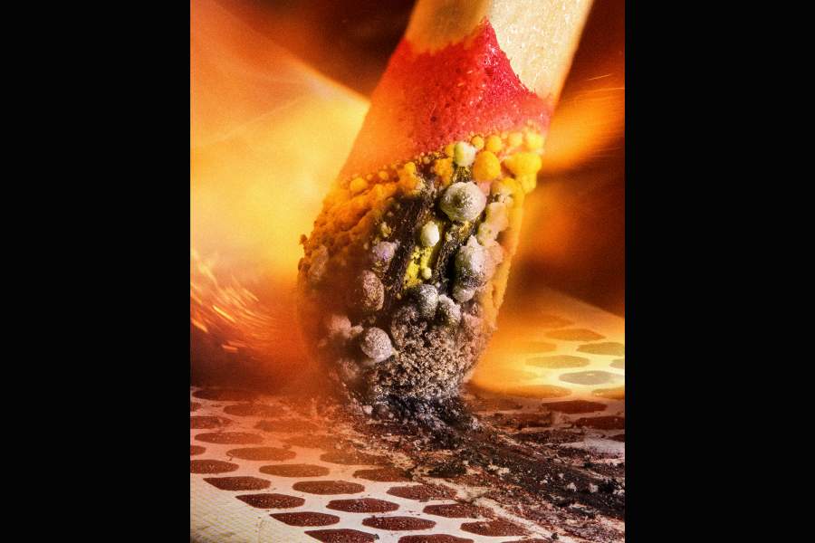 Nikon Small World 2023