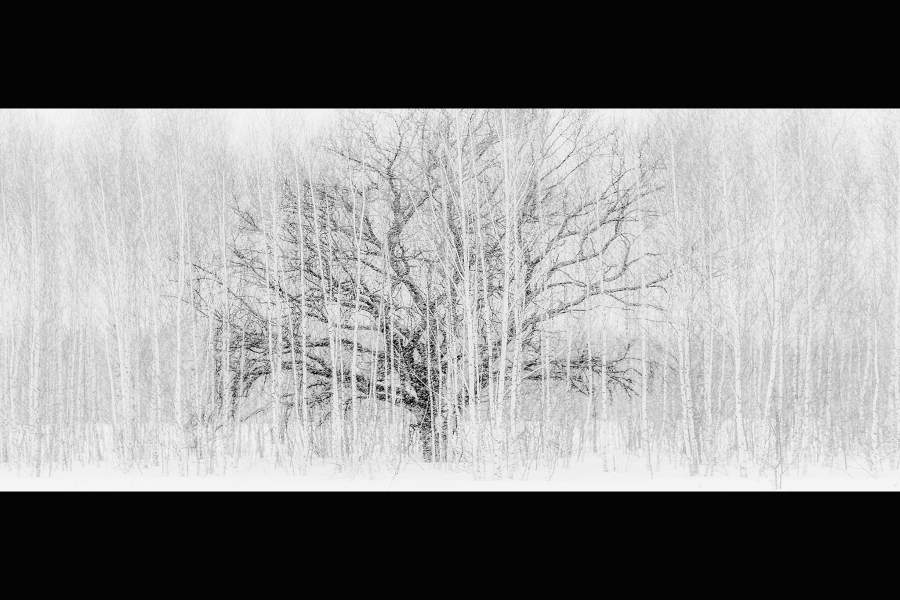 Победители фотоконкурса РГО «Самая красивая страна»