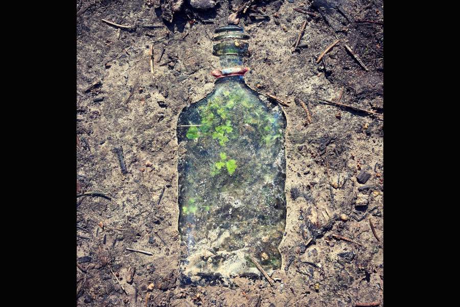 Победители фотоконкурса РГО «Самая красивая страна»