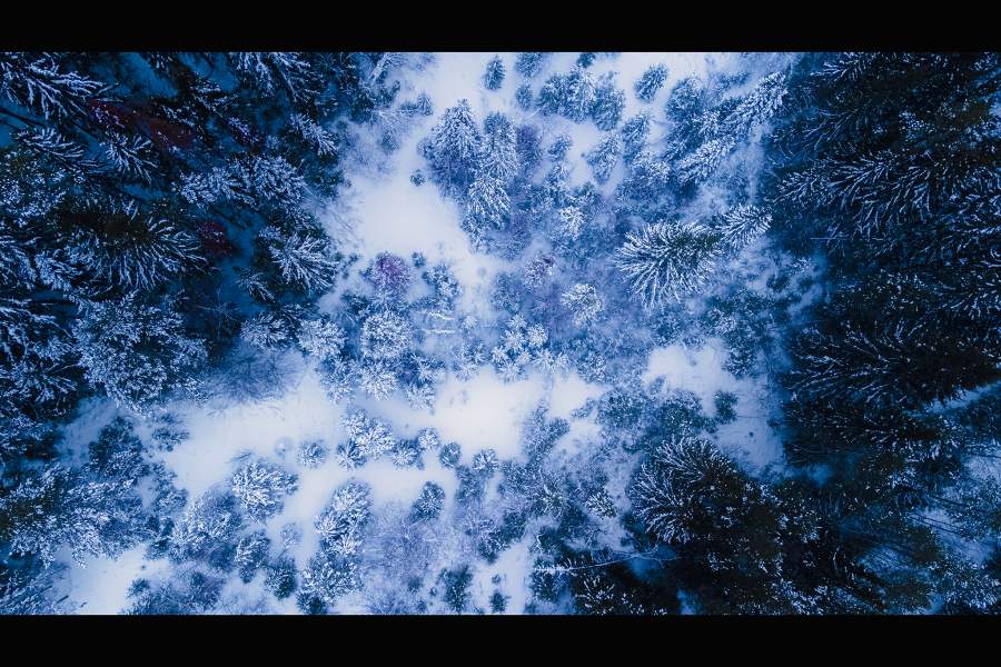 Победители фотоконкурса РГО «Самая красивая страна»