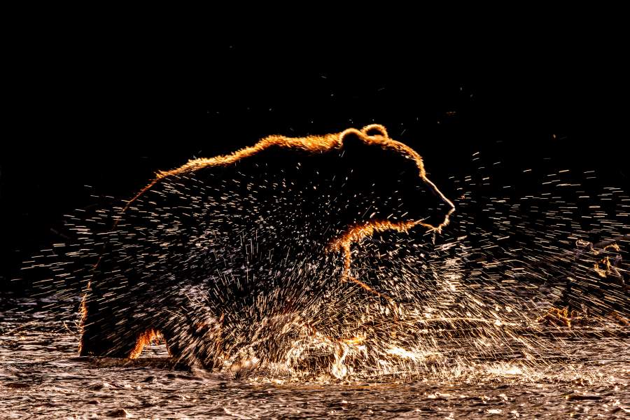 Победители фотоконкурса РГО «Самая красивая страна»