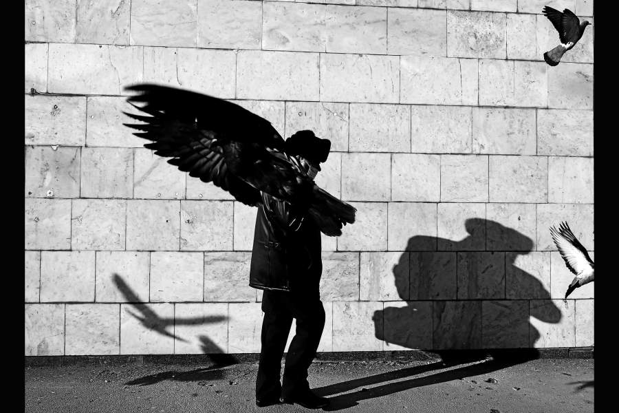 Победители Международного конкурса фотожурналистики имени Андрея Стенина