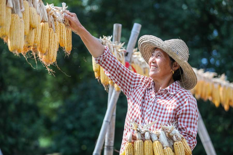 Как китайские фермеры сушат урожай на улицах