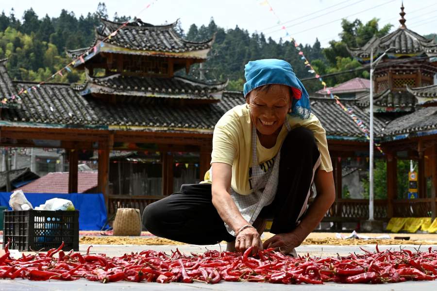 Как китайские фермеры сушат урожай на улицах