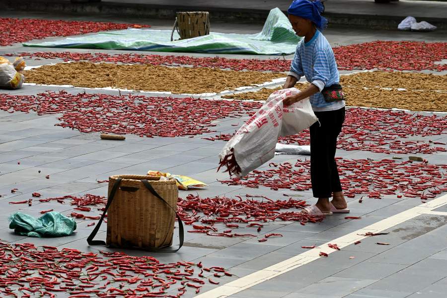 Как китайские фермеры сушат урожай на улицах