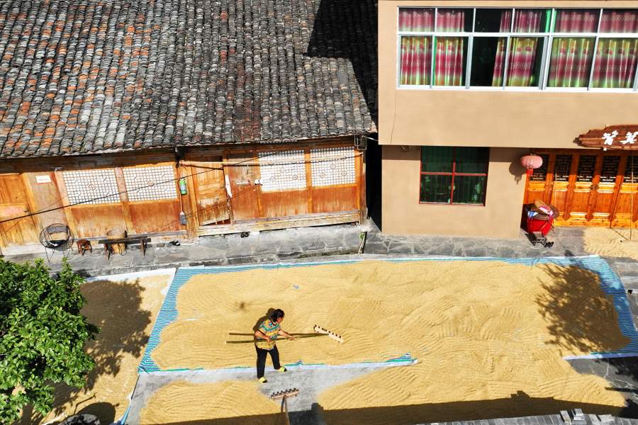 Как китайские фермеры сушат урожай на улицах