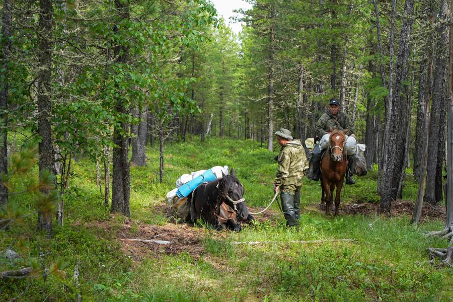 По следам Игумновского тракта