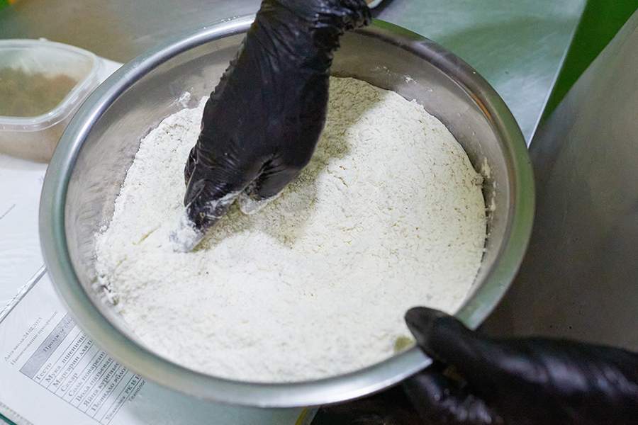 Как в Ставрополе делают снеки и муку из сверчков