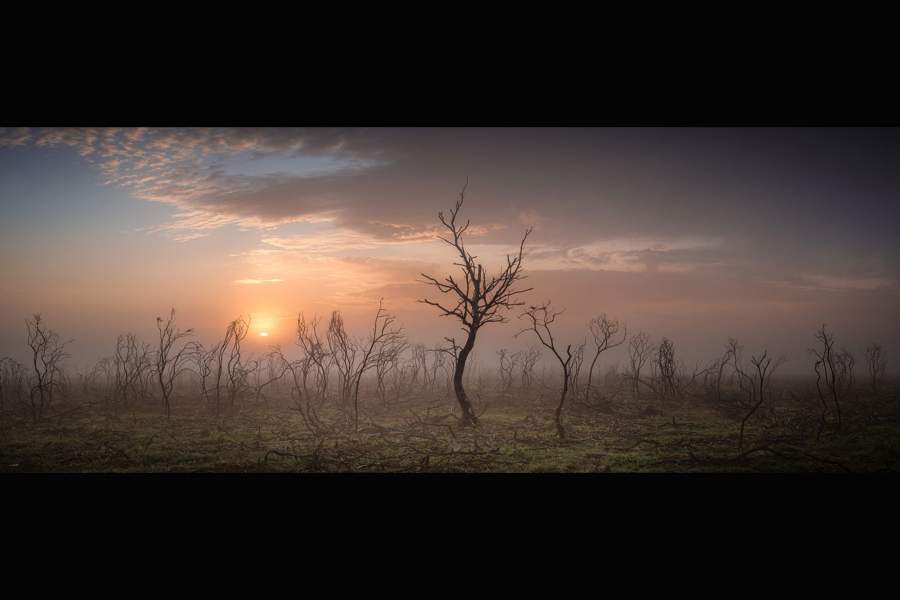 Победители фотоконкурса Landscape Photographer of the Year 2023