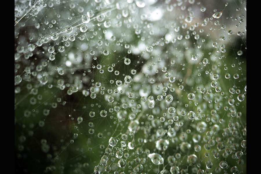 Победители фотоконкурса Landscape Photographer of the Year 2023