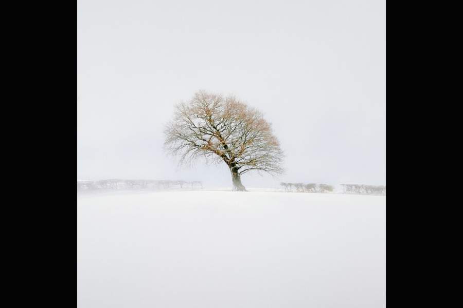 Победители фотоконкурса Landscape Photographer of the Year 2023