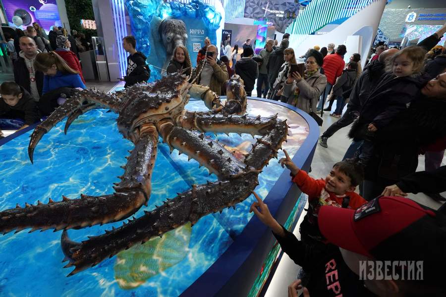 Выставка-форум «Россия»