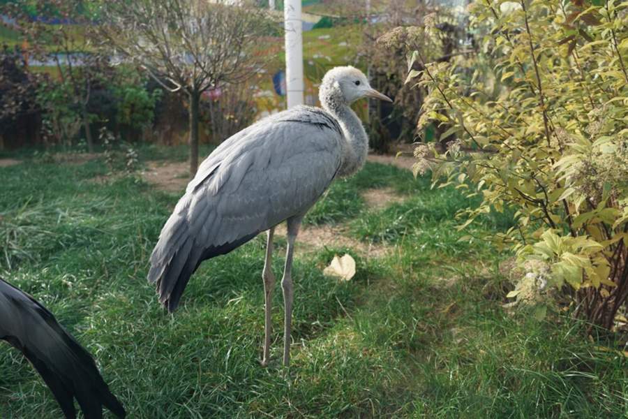 Фото прошедшей недели