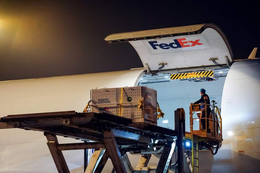 Фото прошедшей недели