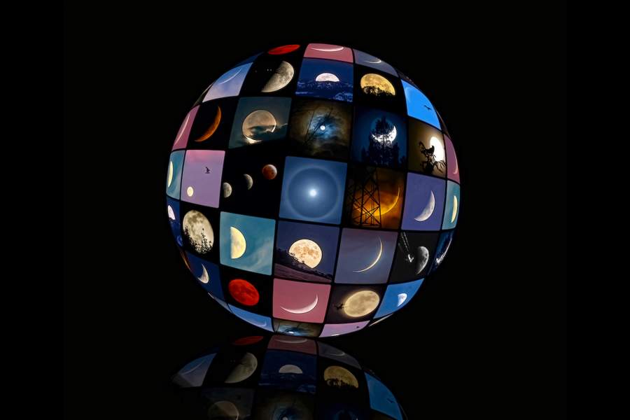 Победители фотоконкурса дикой природы NANPA 2024