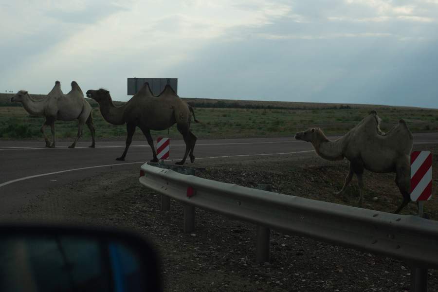 Город на краю