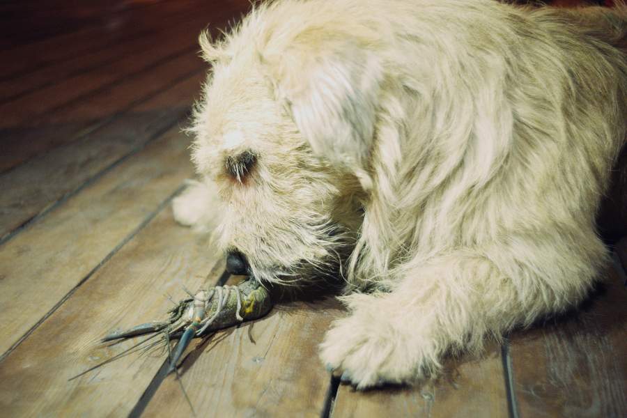 Город на краю