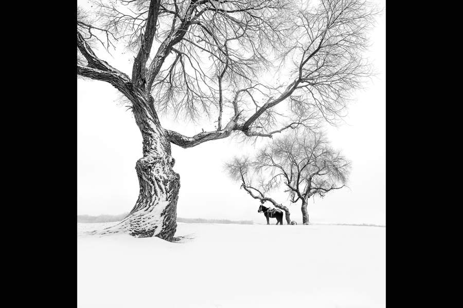 Победители Monochrome Photography Awards 2023