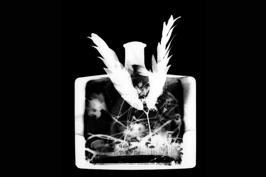 Победители Monochrome Photography Awards 2023