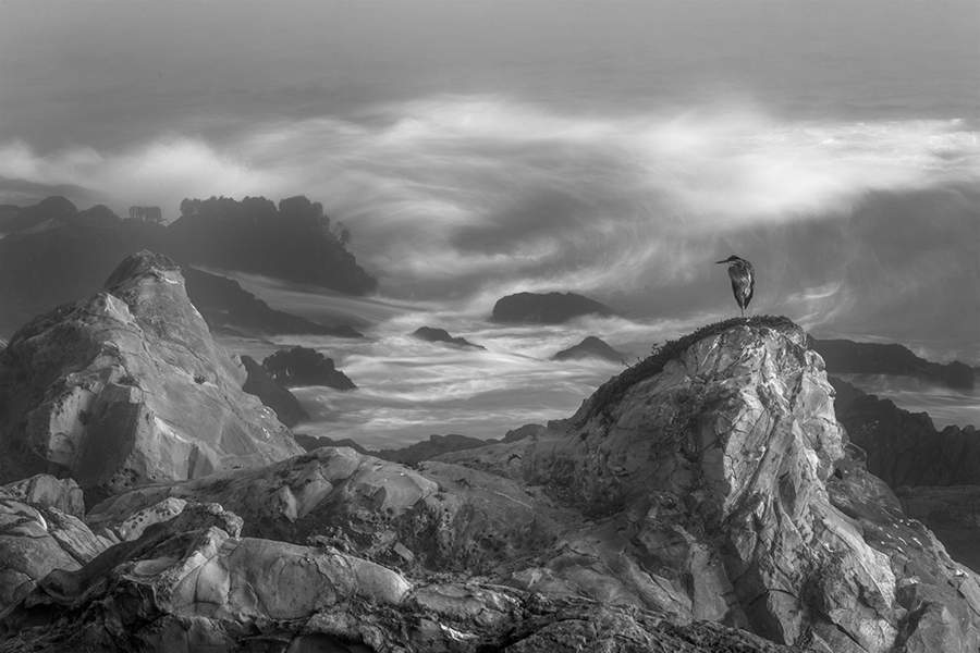 Победители Monochrome Photography Awards 2023