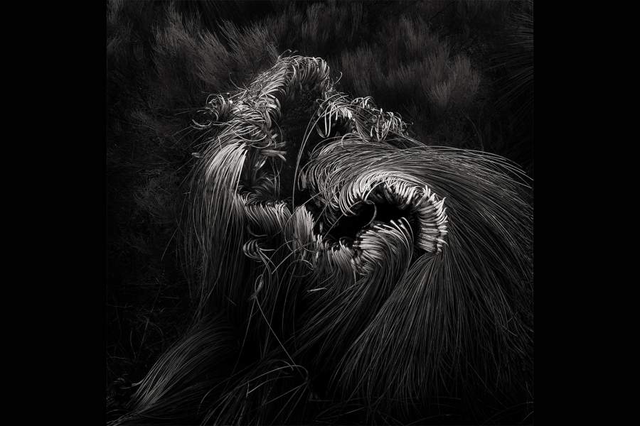 Победители Monochrome Photography Awards 2023