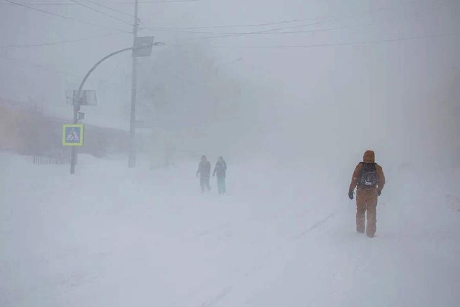 Метель в Южно-Сахалинске