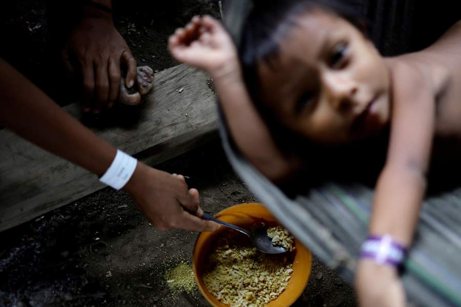Почему в джунглях Бразилии исчезает народ яномами