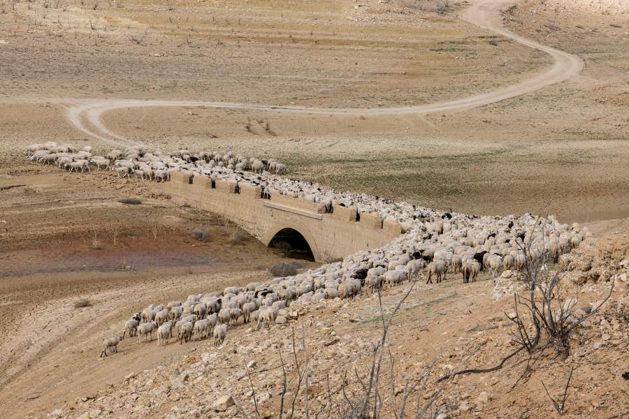 Фото прошедшей недели