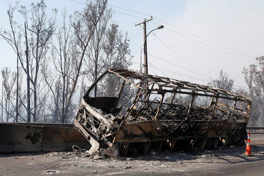 Фото прошедшей недели