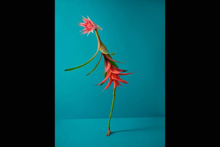 Победители Sony World Photography Awards