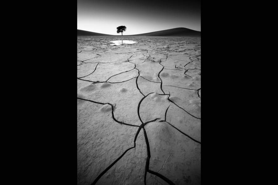 Победители Sony World Photography Awards