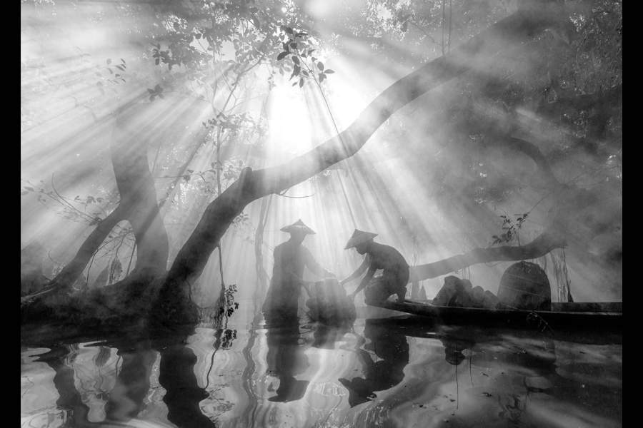 Победители Sony World Photography Awards