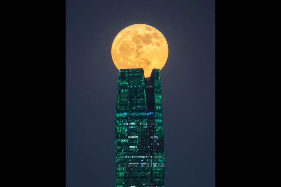 Победители Sony World Photography Awards