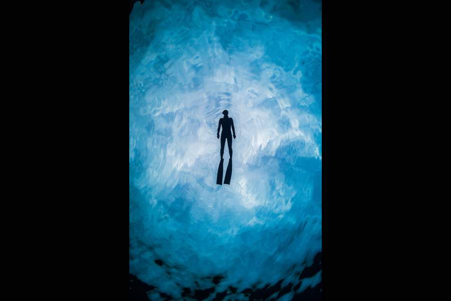 Победители Sony World Photography Awards