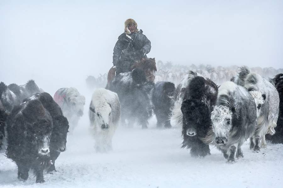 Как живет кочевой народ монгольских казахов