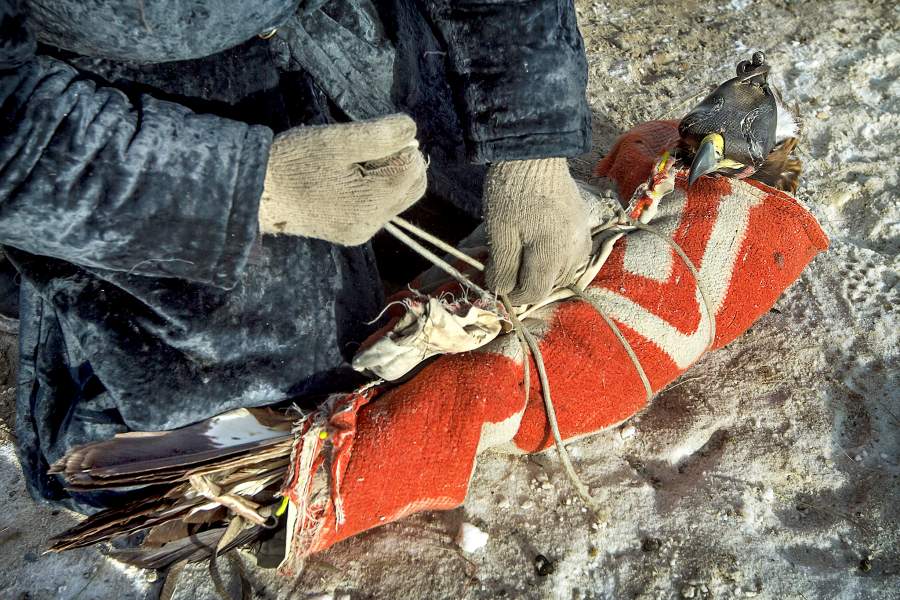 Как живет кочевой народ монгольских казахов