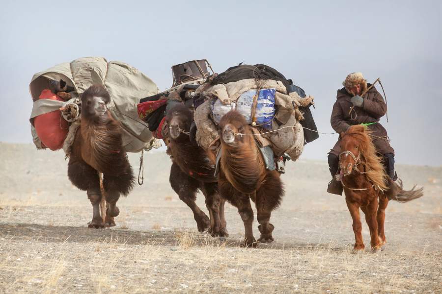 Как живет кочевой народ монгольских казахов