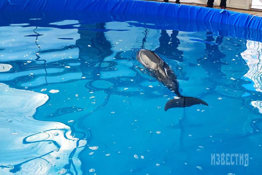 Фото прошедшей недели