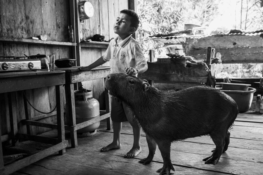 Стиль жизни