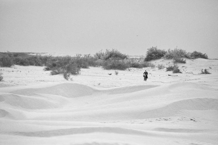 Ногайская степь